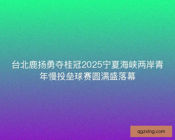 台北鹿扬勇夺桂冠2025宁夏海峡两岸青年慢投垒球赛圆满盛落幕