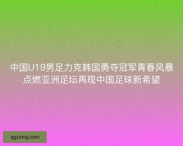 中国U19男足力克韩国勇夺冠军青春风暴点燃亚洲足坛再现中国足球新希望